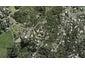 54 Cory Road, Palm Beach, Waiheke Island - Carousel 1