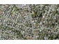 69 Cook Street, Howick, Auckland - Carousel 1