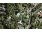 40 Takahe Road, Titirangi, Auckland - Carousel 1