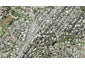 84 Browns Bay Road, Rothesay Bay, Auckland - Carousel 1