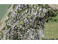 9A Springcombe Road, St Heliers, Auckland - Carousel 1