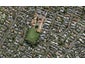 19C Armadale Road, Remuera, Auckland - Carousel 1