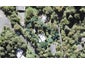 899 West Coast Road, Waiatarua, Auckland - Carousel 1