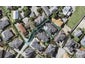 90C Killybegs Drive, Pinehill, Auckland - Carousel 1