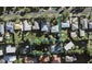 32 Mary Dreaver Street, New Windsor, Auckland - Carousel 1