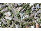 7 Monterey Street, Glendowie, Auckland - Carousel 1