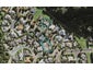29 Clemow's Lane, Albany, Auckland - Carousel 1