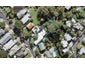 48 Fife Street, Westmere, Auckland - Carousel 1