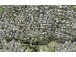 35 Lantana Road, Green Bay, Auckland - Carousel 1