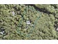 125 Lone Kauri Road, Karekare, Auckland - Carousel 1
