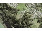 1B Ti Tree Lane, Stanmore Bay, Whangaparaoa - Carousel 1