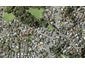 3 Etherege Place, Howick, Auckland - Carousel 1