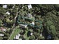 74 Glen Brook Road, Omiha, Waiheke Island - Carousel 1