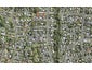 95 Glendale Road, Glen Eden, Auckland - Carousel 1