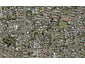 9 Ara Kakaha, Papatoetoe, Auckland - Carousel 1