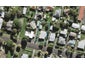 28 Kings Road, Mount Roskill, Auckland - Carousel 1
