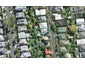 33 John Street, Ponsonby, Auckland - Carousel 1