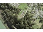 1C Ti Tree Lane, Stanmore Bay, Whangaparaoa - Carousel 1
