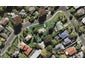 32 Mount Royal Avenue, Mount Albert, Auckland - Carousel 1