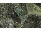 40 Hill Road, Palm Beach, Waiheke Island - Carousel 1