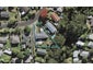 11 Cunliffe Place, Glenfield, Auckland - Carousel 1