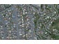 77 Ira Street, Miramar, Wellington - Carousel 1
