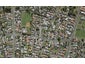 31C Pah Road, Papatoetoe, Auckland - Carousel 1