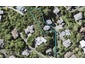 13 Stitchbird Close, Murrays Bay, Auckland - Carousel 1