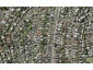 174A Forrest Hill Road, Forrest Hill, Auckland - Carousel 1