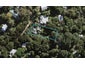 5 Hillside Road, Ostend, Waiheke Island - Carousel 1