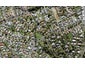 26B Endeavour Street, Blockhouse Bay, Auckland - Carousel 1