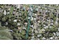 4/59 Beach Haven Road, Beach Haven, Auckland - Carousel 1