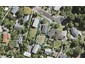 19 Lucinda Place, Glen Eden, Auckland - Carousel 1
