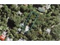 38 Paturoa Road, Titirangi, Auckland - Carousel 1