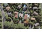 6 Holyoake Place, Chatswood, Auckland - Carousel 1