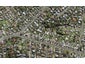 77 Raleigh Road, Northcote, Auckland - Carousel 1