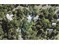7 Brownie Road, Laingholm, Auckland - Carousel 1