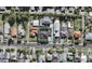 55 Fourth Avenue, Kingsland, Auckland - Carousel 1