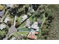 9 Packham Place, Beach Haven, Auckland - Carousel 1