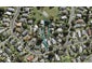 2/21 Ayton Drive, Totara Vale, Auckland - Carousel 1