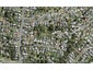 8/17A Eastglen Road, Glen Eden, Auckland - Carousel 1