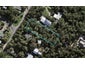 45 Whakarite Road, Ostend, Waiheke Island - Carousel 1
