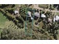 17 Totara Road, Onetangi, Waiheke Island - Carousel 1