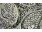 41 Oteha Valley Road, Northcross, Auckland - Carousel 1
