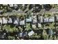 28 Mary Dreaver Street, New Windsor, Auckland - Carousel 1