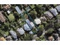 36 Raurenga Avenue, Royal Oak, Auckland - Carousel 1