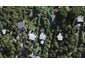 49 Frank Street, Oneroa, Waiheke Island - Carousel 1