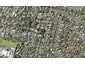 68 Glenmore Road, Sunnyhills, Auckland - Carousel 1