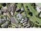 13 Sanctuary Point, Sunnyhills, Auckland - Carousel 1