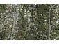 66 Woodfern Crescent, Titirangi, Auckland - Carousel 1